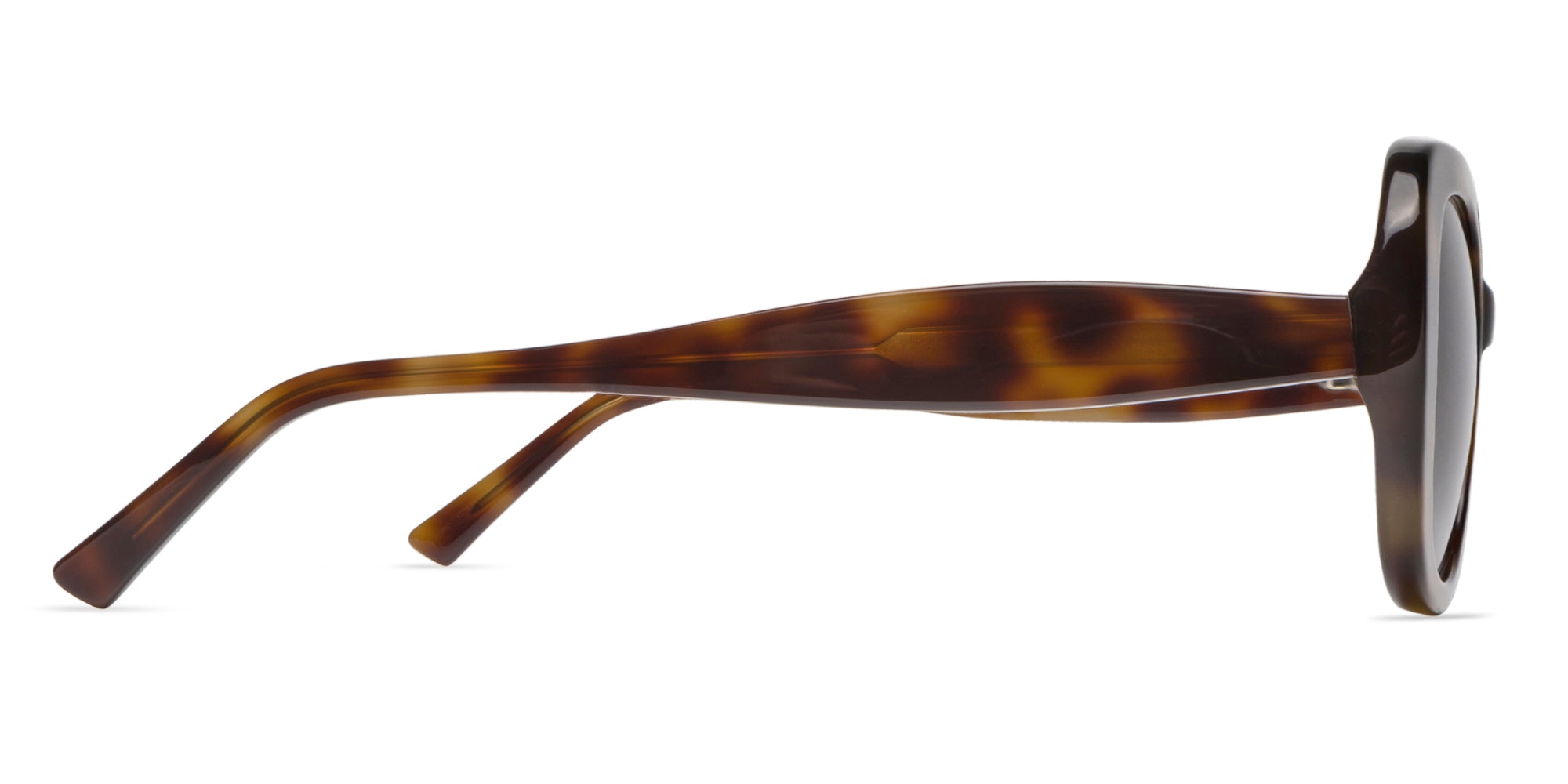 Sunglasses with tortoiseshell frame on a white background side view