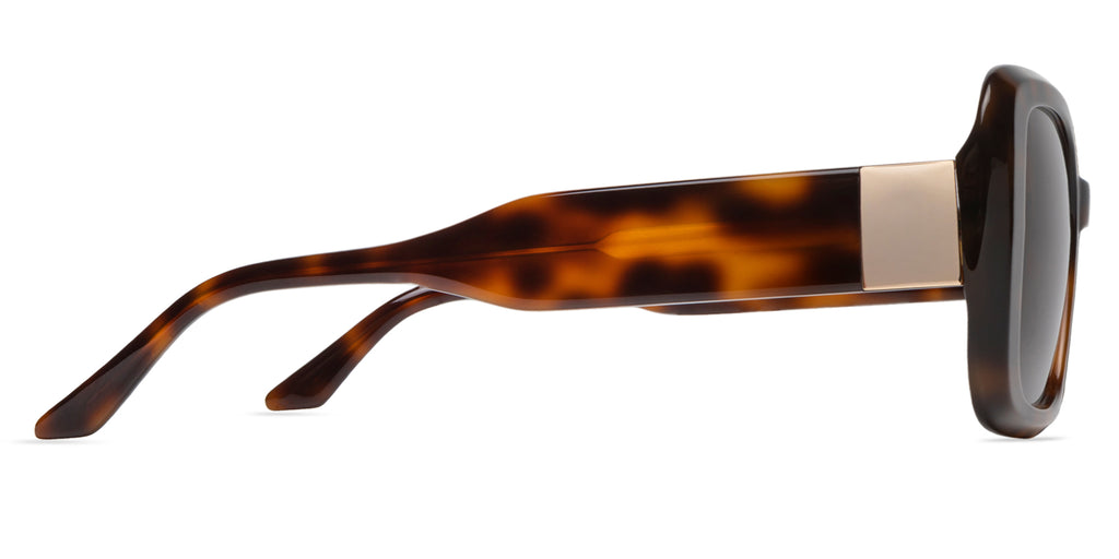 Sunglasses with tortoiseshell frame and dark lenses  and gold embellishment on a white background side view