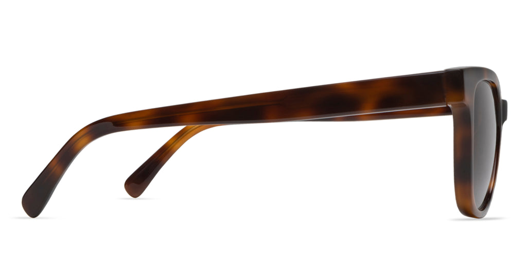 Sunglasses with tortoiseshell frame on a white background (temple view)